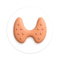 Ícone Tireoide - Endocrinologista Teresina
